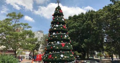 Árvore de Natal de SCS será inaugurada nesta sexta com presença do Papai Noel