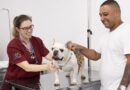 Vestibular USCS tem Inscrições Abertas para o 2º semestre de 2025