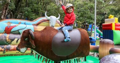 Evento Sertanejinho no Bosque conquista público de todas as idades em SCS