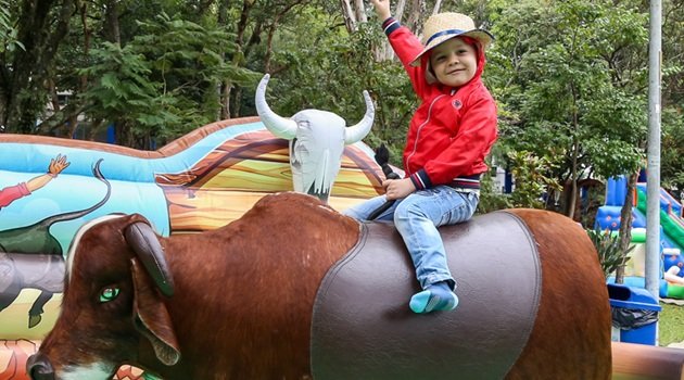 Festa Entoadinha Nordestina será neste final de semana em São Caetano