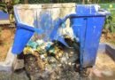 GCM de São Caetano detém indivíduo por Incêndio em Caçambas no Bairro Fundação