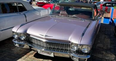 Exposição de Carros Antigos de São Caetano reúne 80 mil visitantes