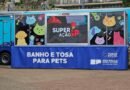 Curso Gratuito de Banho e Tosa para Pets em São Caetano
