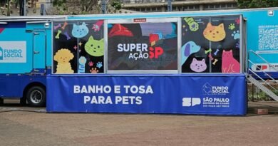Curso Gratuito de Banho e Tosa para Pets em São Caetano